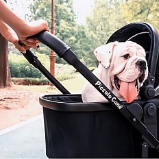 piccolo cane stroller